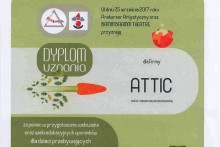 dyplom uznania wojewódzki szpital dziecięcy w Krakowie attic centrum budowlane