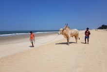 magiczne Indie plaża